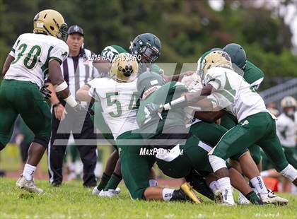 Thumbnail 1 in Longwood @ William Floyd photogallery.