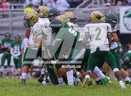 Thumbnail 1 in Longwood @ William Floyd photogallery.