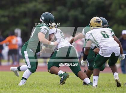 Thumbnail 2 in Longwood @ William Floyd photogallery.