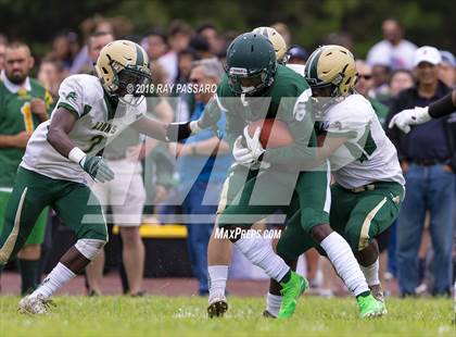 Thumbnail 1 in Longwood @ William Floyd photogallery.