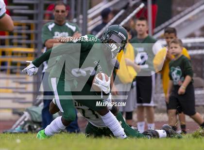 Thumbnail 2 in Longwood @ William Floyd photogallery.