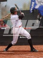 Photo from the gallery "McQueen @ Douglas"