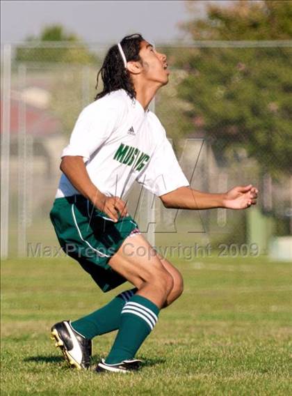 Thumbnail 3 in Monterey Trail @ Pleasant Grove photogallery.