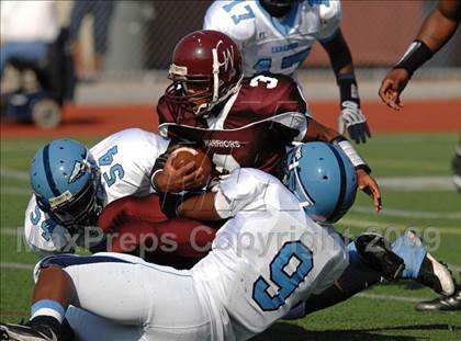 Thumbnail 2 in Canarsie @ Curtis photogallery.