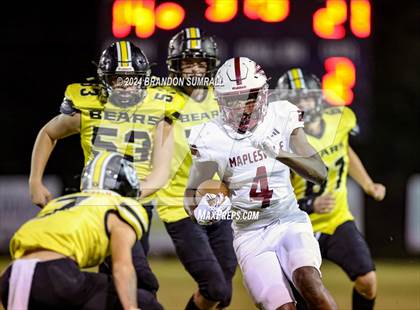 Thumbnail 1 in Maplesville @ Billingsley photogallery.