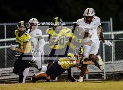 Thumbnail 1 in Maplesville @ Billingsley photogallery.