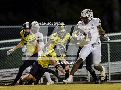 Thumbnail 3 in Maplesville @ Billingsley photogallery.