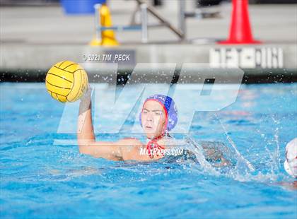 Thumbnail 3 in Laguna Beach @ Los Alamitos photogallery.