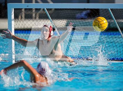 Thumbnail 3 in Laguna Beach @ Los Alamitos photogallery.