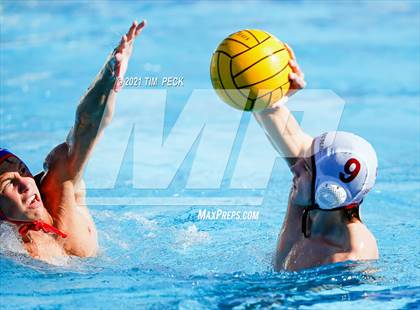 Thumbnail 3 in Laguna Beach @ Los Alamitos photogallery.