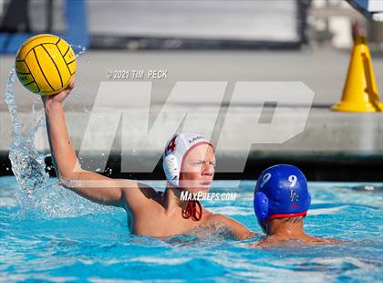 Thumbnail 2 in Laguna Beach @ Los Alamitos photogallery.