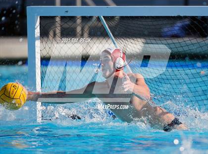 Thumbnail 3 in Laguna Beach @ Los Alamitos photogallery.