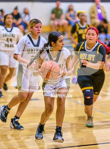 Thumbnail 1 in Milby @ Galena Park photogallery.