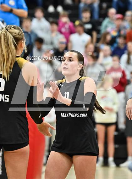 Thumbnail 3 in Roosevelt @ Green Mountain photogallery.