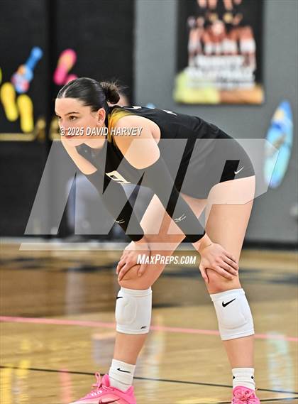 Thumbnail 2 in Roosevelt @ Green Mountain photogallery.