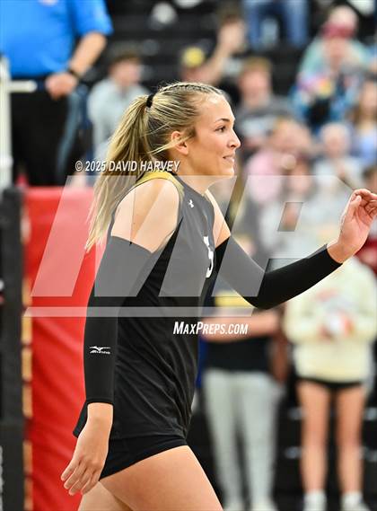 Thumbnail 2 in Roosevelt @ Green Mountain photogallery.