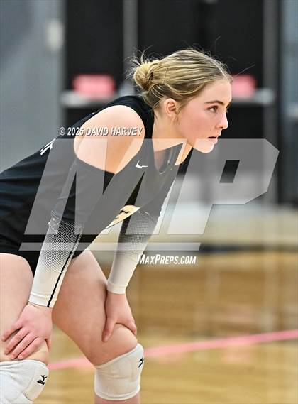 Thumbnail 1 in Roosevelt @ Green Mountain photogallery.