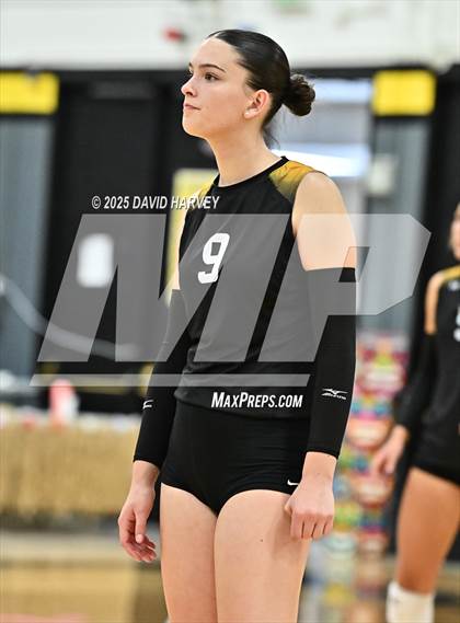 Thumbnail 1 in Roosevelt @ Green Mountain photogallery.