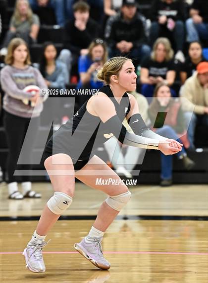 Thumbnail 1 in Roosevelt @ Green Mountain photogallery.