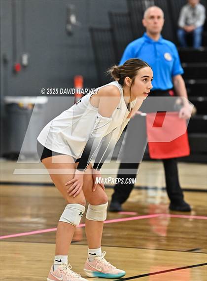 Thumbnail 2 in Roosevelt @ Green Mountain photogallery.