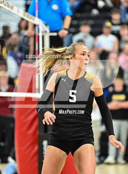 Thumbnail 2 in Roosevelt @ Green Mountain photogallery.