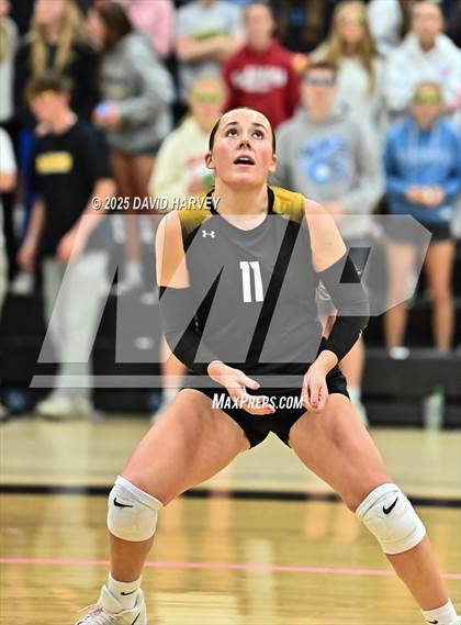 Thumbnail 1 in Roosevelt @ Green Mountain photogallery.