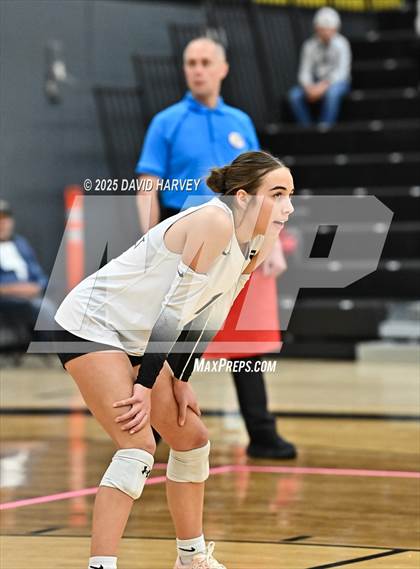 Thumbnail 1 in Roosevelt @ Green Mountain photogallery.