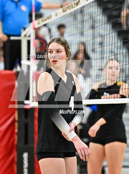 Thumbnail 1 in Roosevelt @ Green Mountain photogallery.