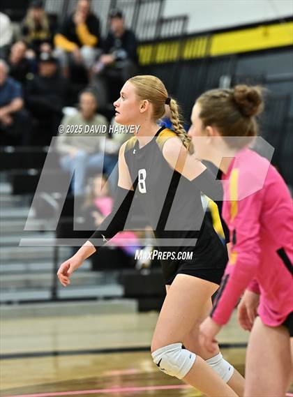 Thumbnail 3 in Roosevelt @ Green Mountain photogallery.