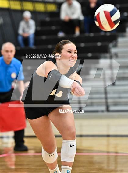 Thumbnail 2 in Roosevelt @ Green Mountain photogallery.