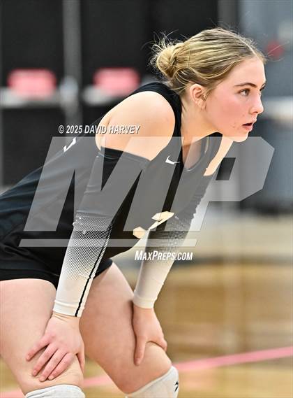 Thumbnail 3 in Roosevelt @ Green Mountain photogallery.