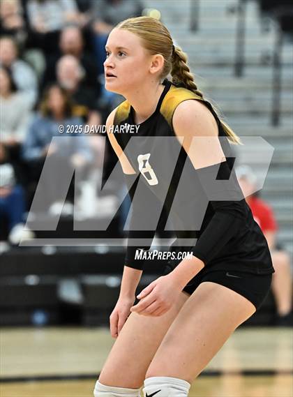 Thumbnail 3 in Roosevelt @ Green Mountain photogallery.