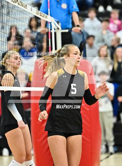 Thumbnail 2 in Roosevelt @ Green Mountain photogallery.