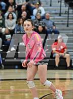 Photo from the gallery "Roosevelt @ Green Mountain"