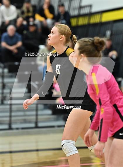 Thumbnail 1 in Roosevelt @ Green Mountain photogallery.