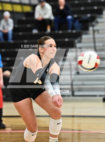 Thumbnail 1 in Roosevelt @ Green Mountain photogallery.