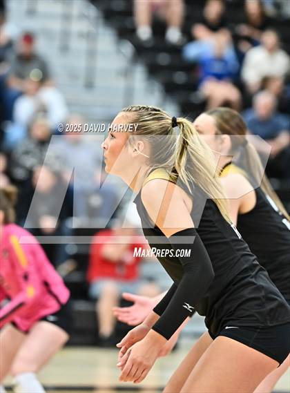 Thumbnail 3 in Roosevelt @ Green Mountain photogallery.