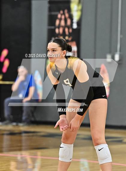 Thumbnail 1 in Roosevelt @ Green Mountain photogallery.