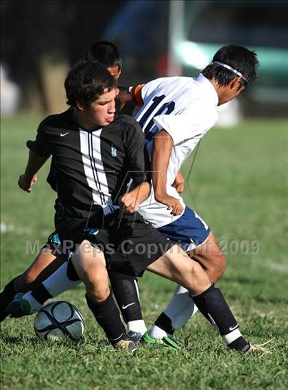 Thumbnail 2 in Sheldon @ Elk Grove photogallery.
