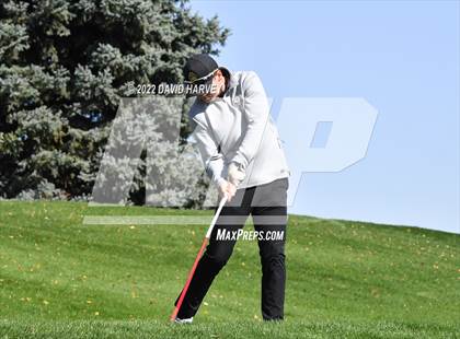 Thumbnail 1 in 3A State Championships Boys Golf Day 2 photogallery.