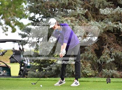Thumbnail 3 in 3A State Championships Boys Golf Day 2 photogallery.