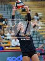Photo from the gallery "Torrey Pines @ Mater Dei"
