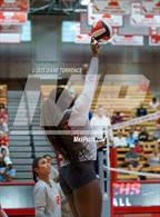 Photo from the gallery "Torrey Pines @ Mater Dei"