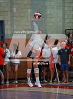 Photo from the gallery "Torrey Pines @ Mater Dei"