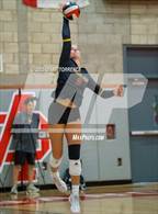 Photo from the gallery "Torrey Pines @ Mater Dei"