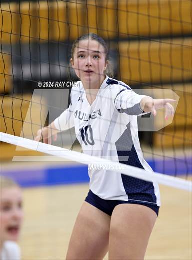 null - Photo 01