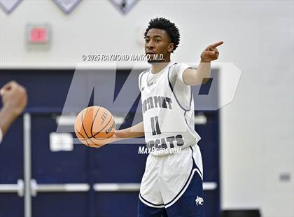 Thumbnail 3 in Babcock @ North Port photogallery.