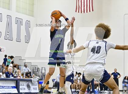 Thumbnail 3 in Babcock @ North Port photogallery.