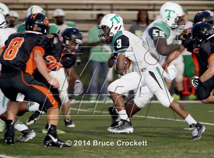 Thumbnail 2 in Tatum @ Gilmer photogallery.