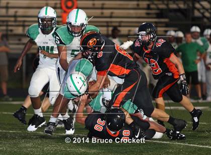Thumbnail 3 in Tatum @ Gilmer photogallery.
